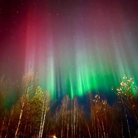 Casa de Férias Fortnight Levi