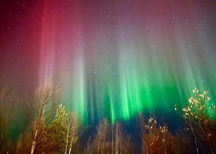 Σπίτι διακοπών Fortnight Levi